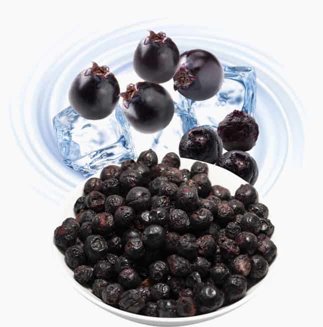 Freeze Dries Whole  Saskatoon Berries