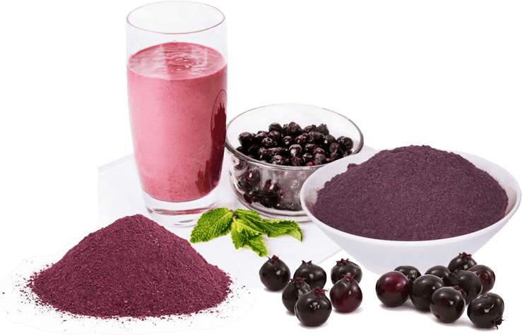 Freeze Dried Saskatoon Berry Powder