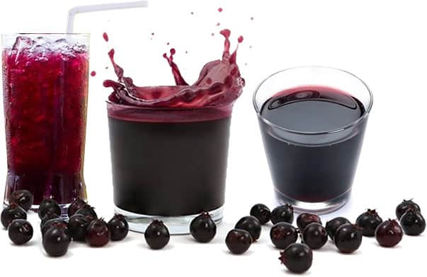 Saskatoon Berry Juice  Concentrate